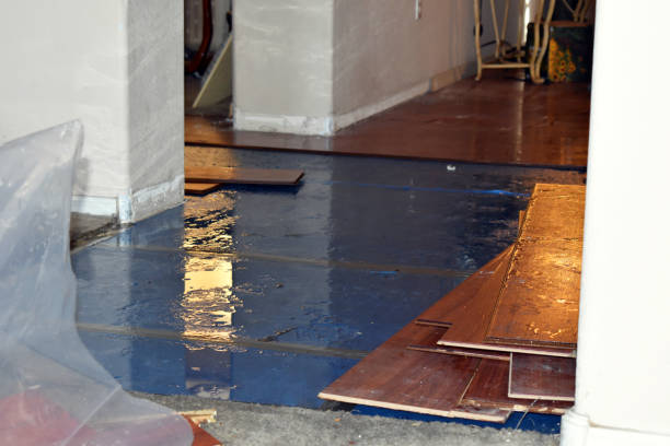 Professional Basement Flood Cleanup technician working in Whitehall, WI